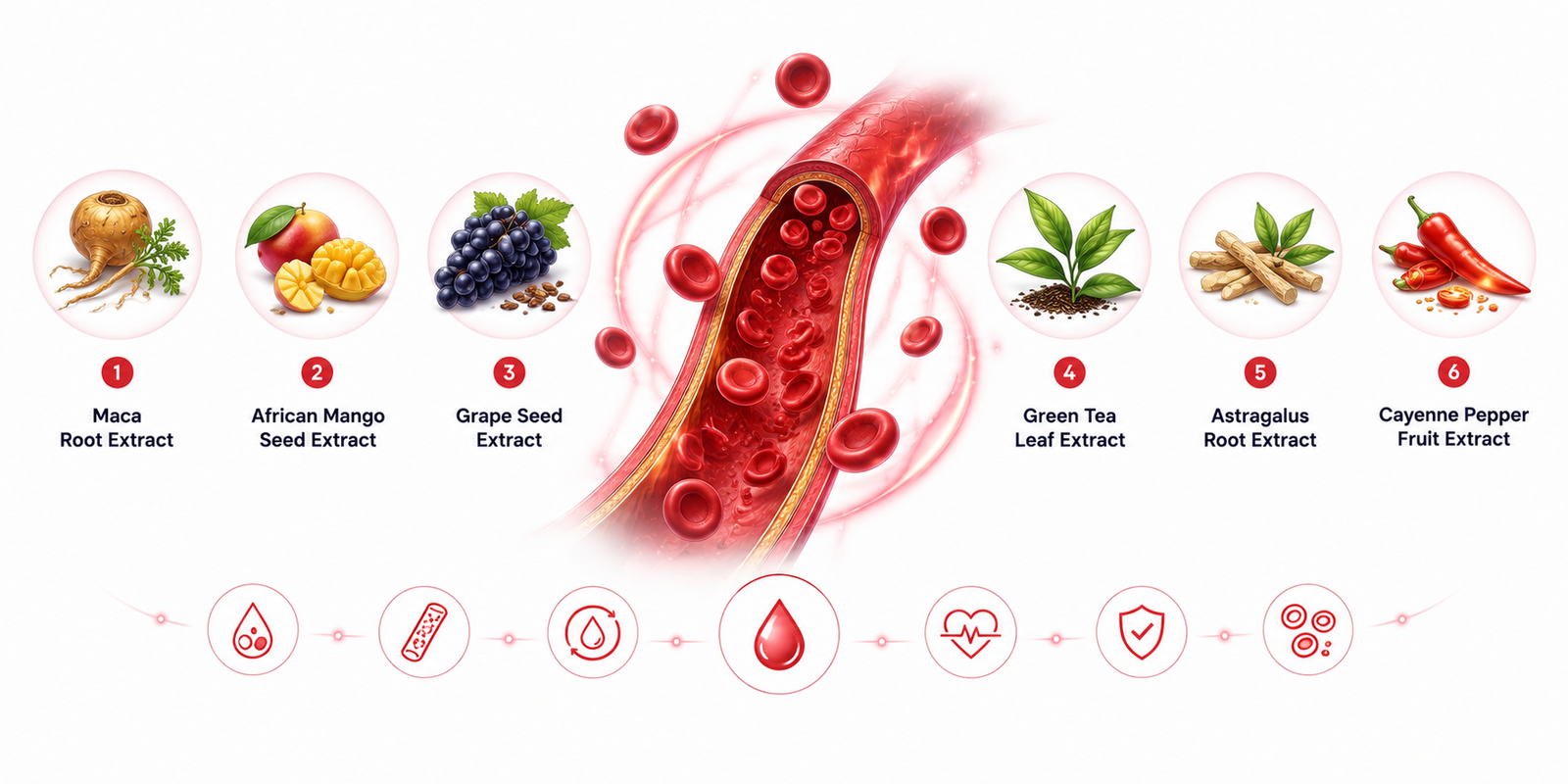GlucoRecover key botanical ingredients